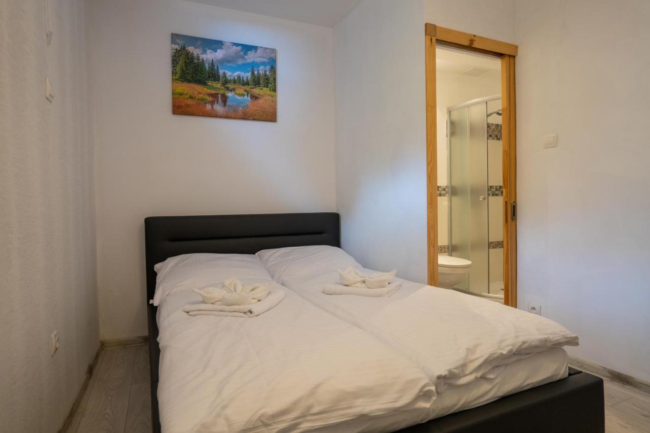 Karkonosky Apartamenty- Ściegny Extérieur photo